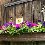 Pepi's Διαμέρισμα *